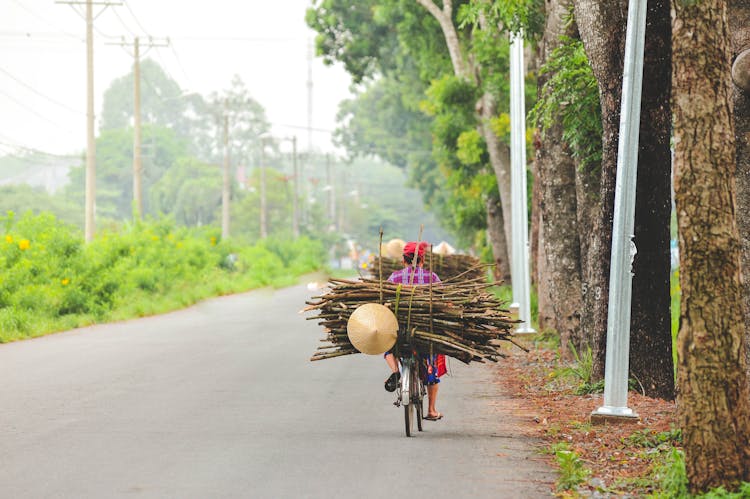 Unrecognizable Person Riding Carriage  On Road