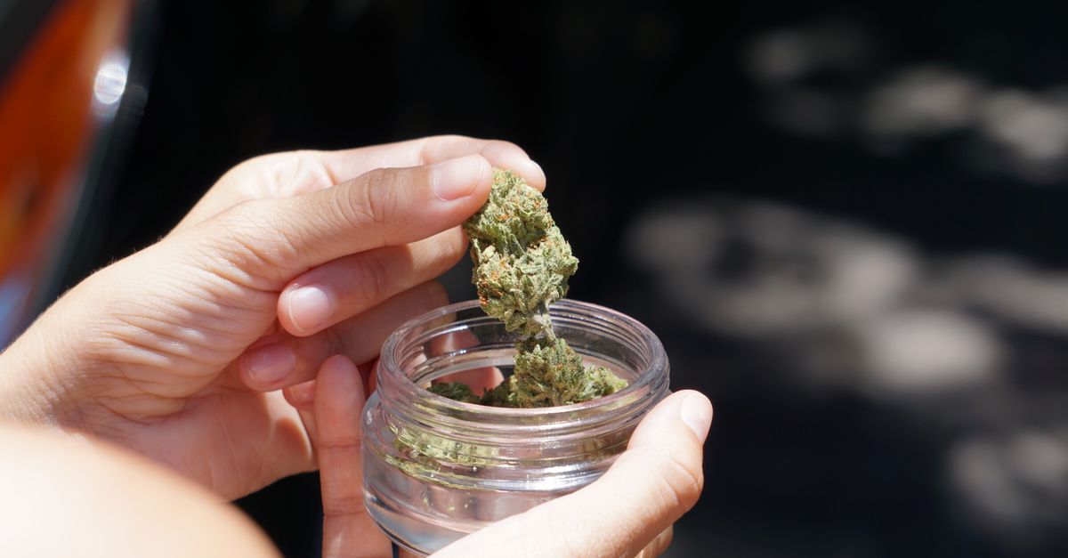 Les erreurs à éviter lors de l'achat de fleurs CBD pur