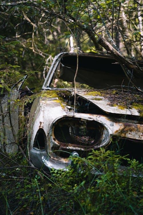 A Ruined Car in the Woods