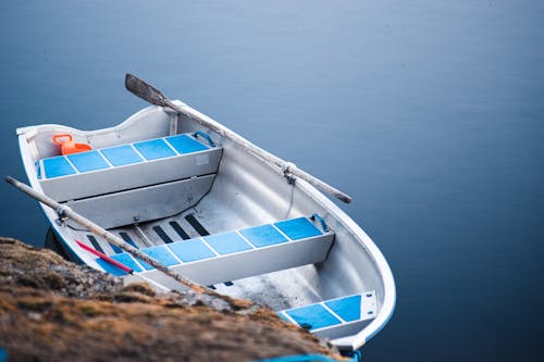 Бесплатное стоковое фото с весельная лодка, весло для лодки, вода