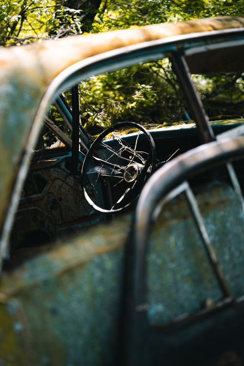 Free Close-up of a rusty abandoned car interior overgrown with vegetation in a forest. Stock Photo