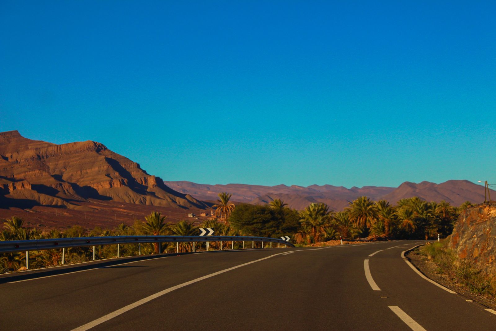 Marrakech à Chefchaouen en voiture 2026 — route de montagne sinueuse à travers la forêt de cèdres du Moyen Atlas près d'Ifrane