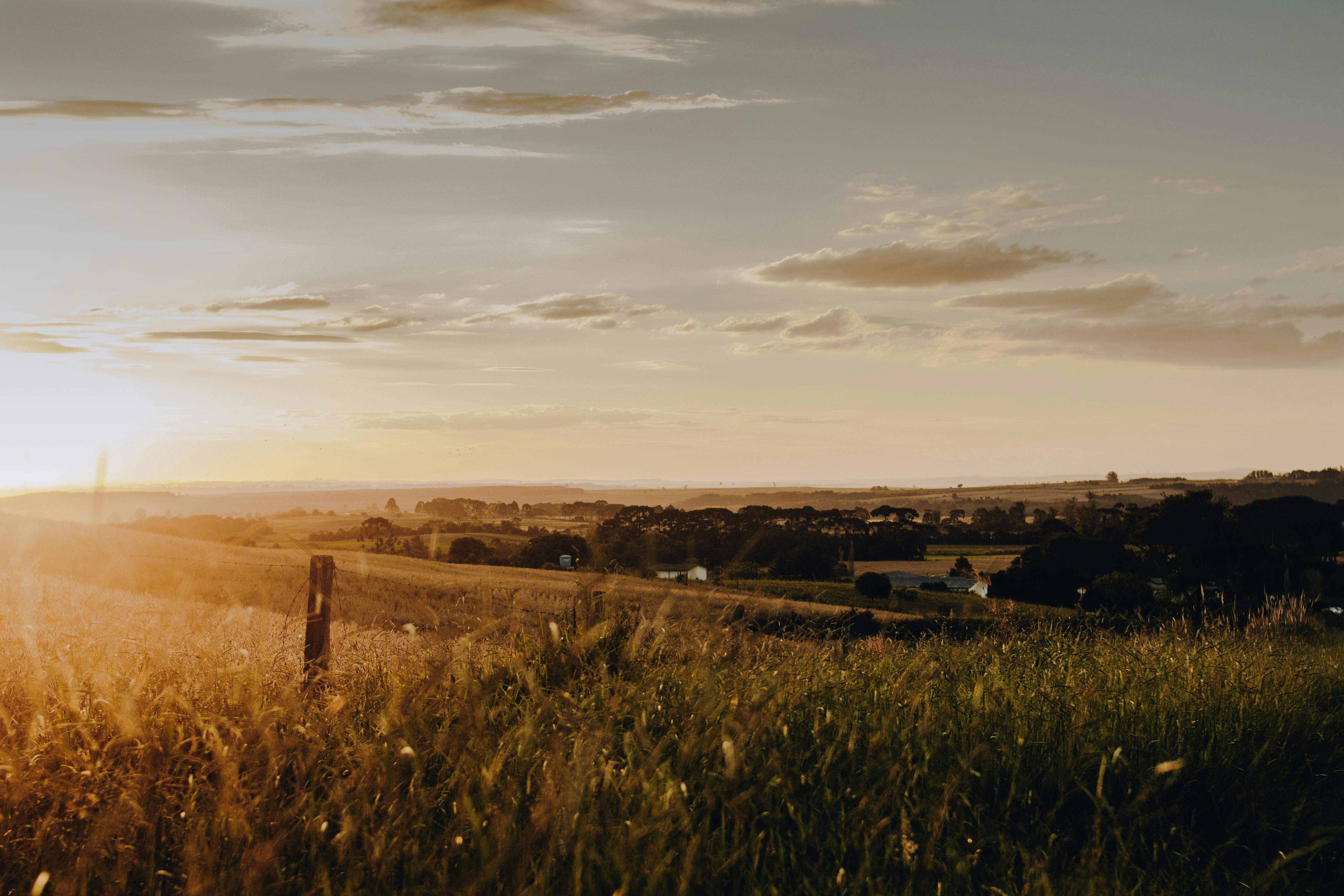 Picturesque scenery of grassy field in village · Free Stock Photo