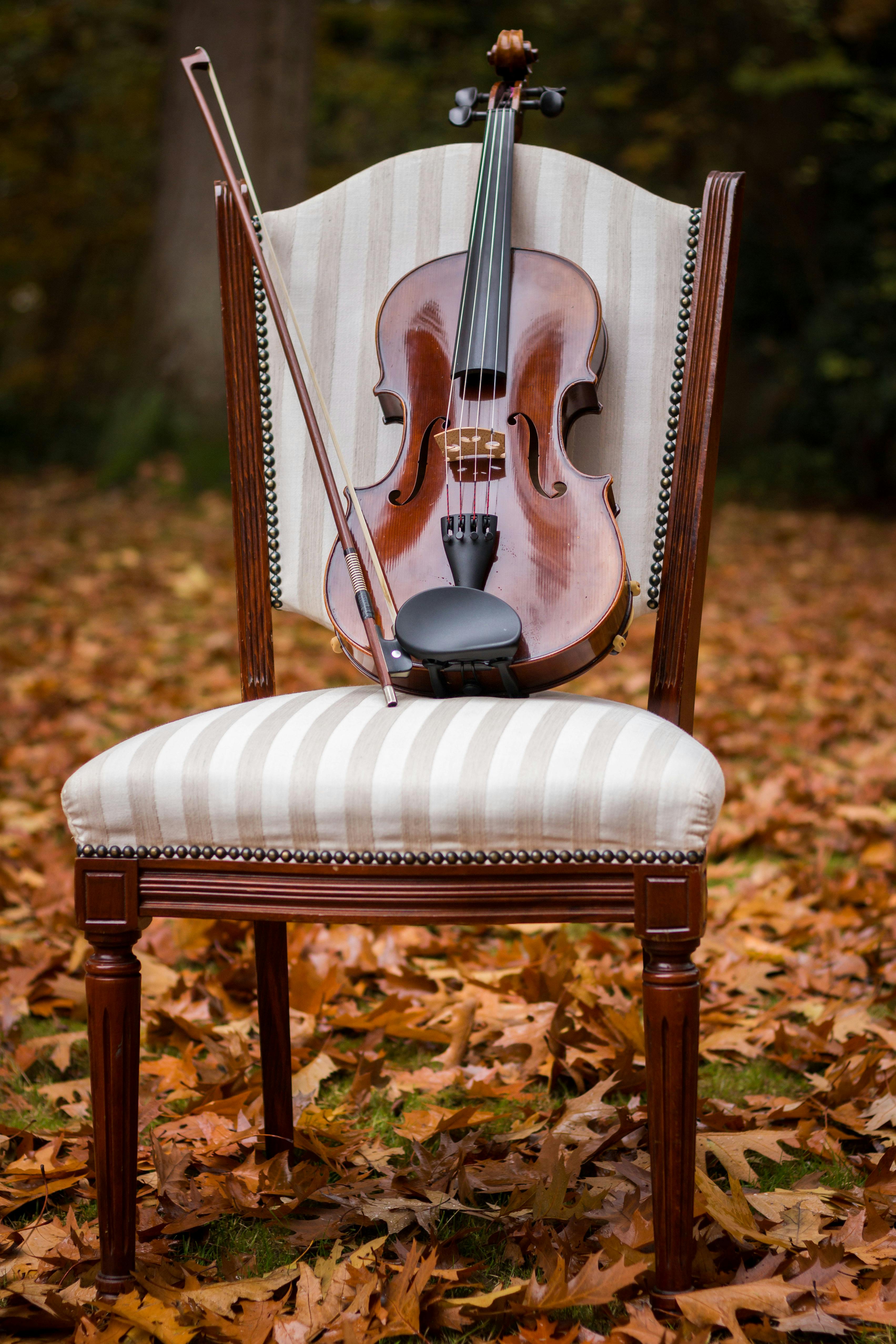 A Violin on the Chair · Free Stock Photo