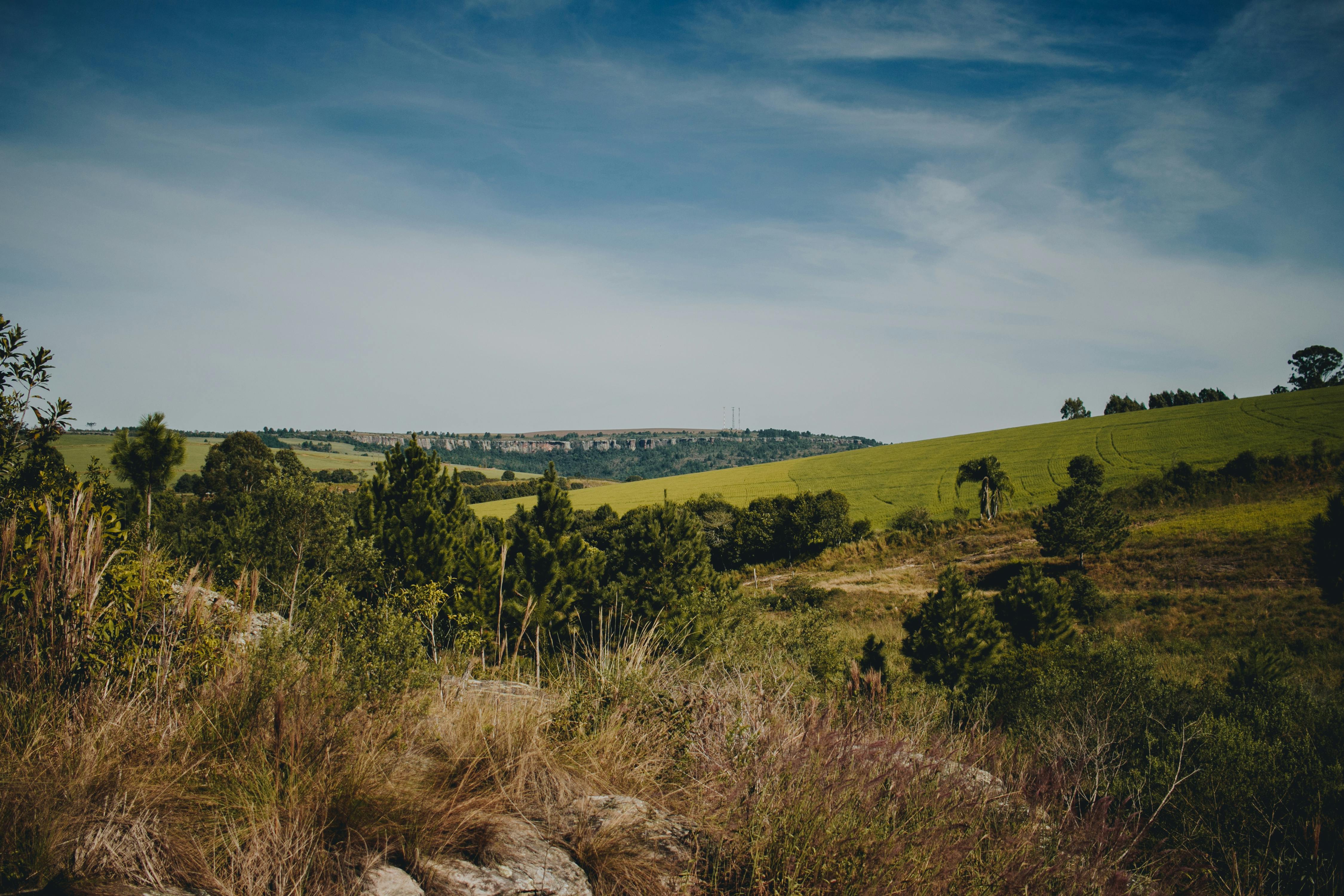 Close-up of parents holding a baby ultrasound photo together