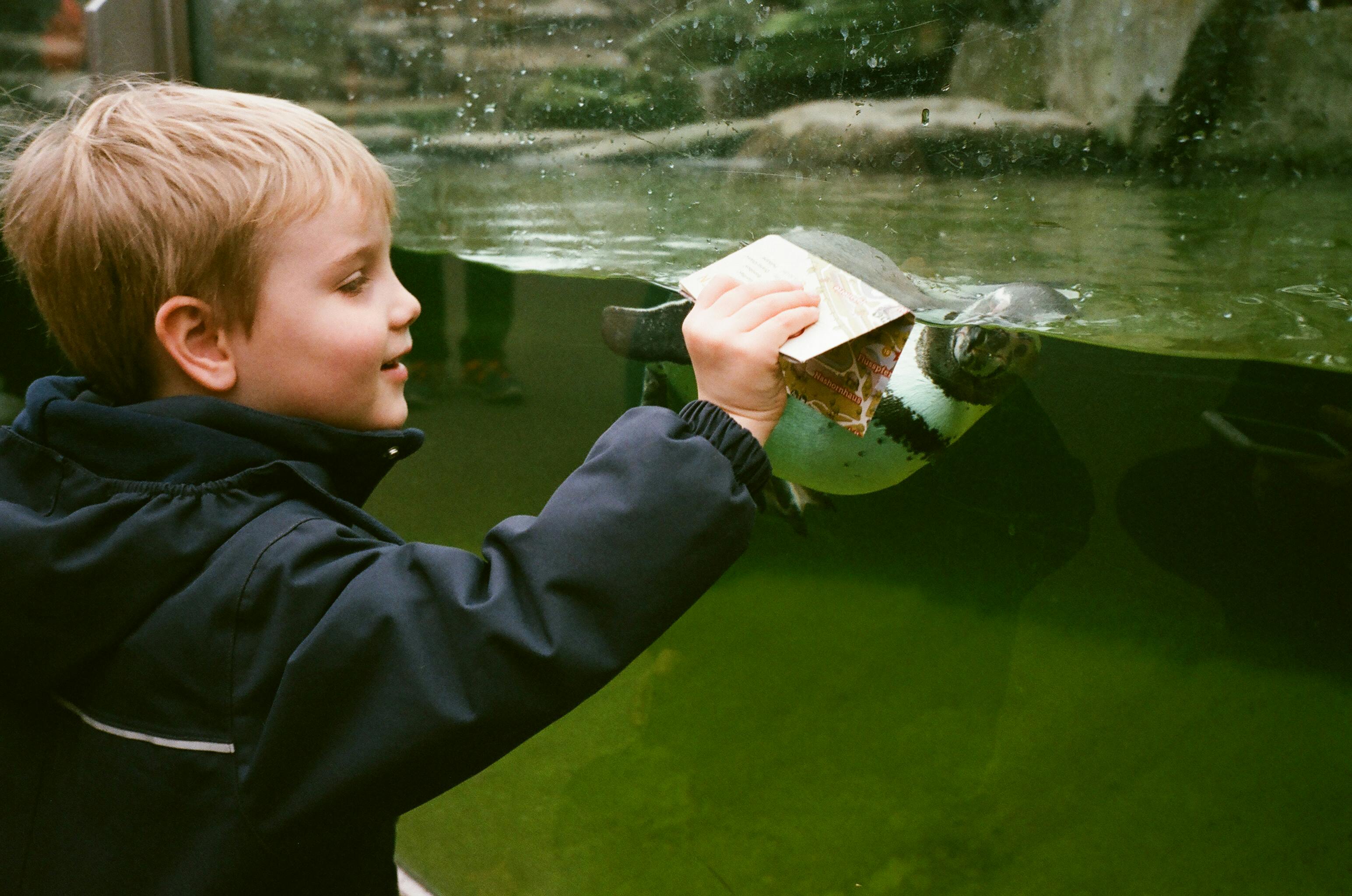 adorable boy near aquarium with little seal in oceanarium