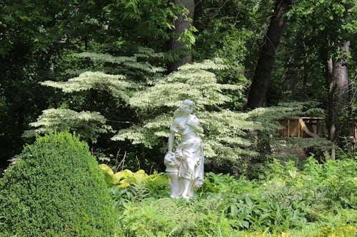 不朽的雕塑, 森林背景, 植物園 的 免費圖庫相片