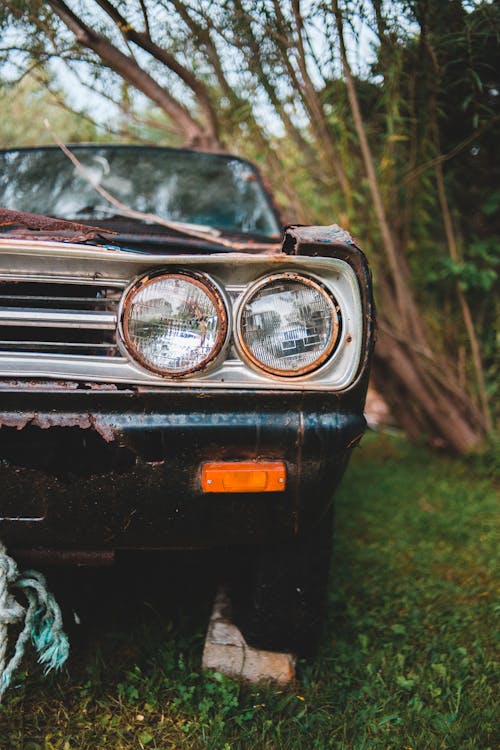 Old automobile with headlights placed on grassy terrain near tree in summer day in nature in countryside with blurred background