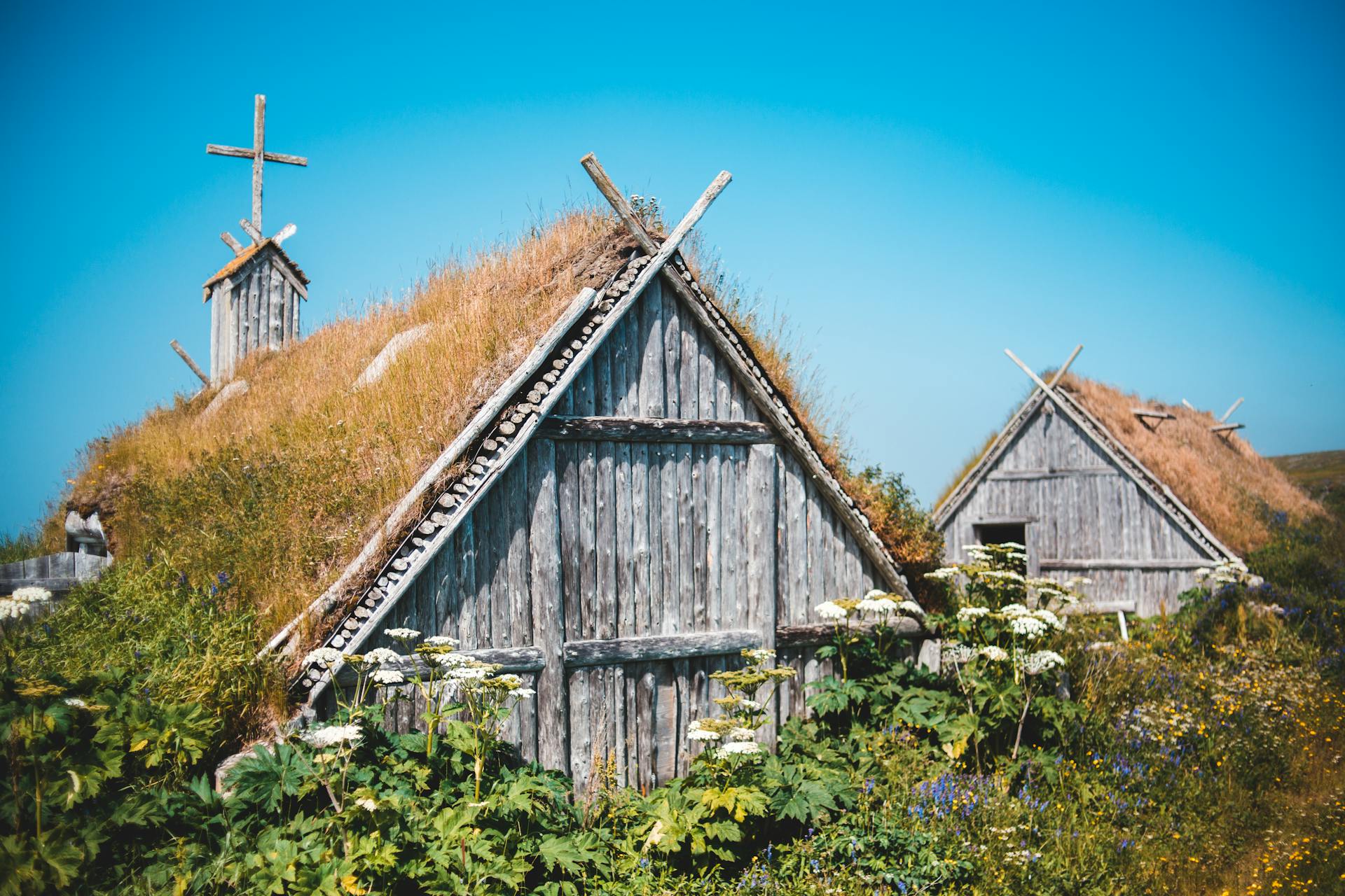 Exterior of lumber shed and church among lush green plants in traditional Norstead Viking Village against cloudless blue sky