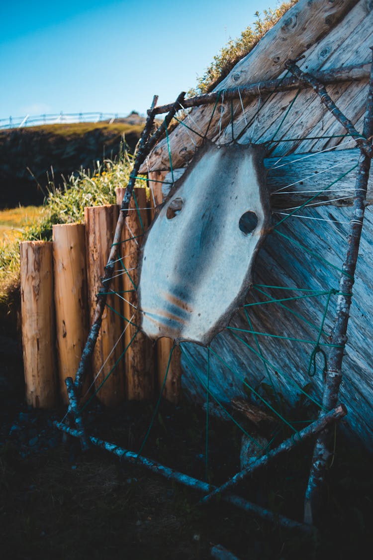 Old Animal Membrane On Wooden Frame In Traditional Village