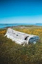 Aged shabby wooden boat on green grassy meadow under blue sky of ocean
