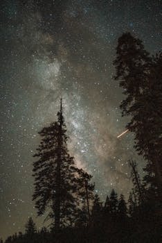 拍摄夜晚宁静森林上空的流星和银河系