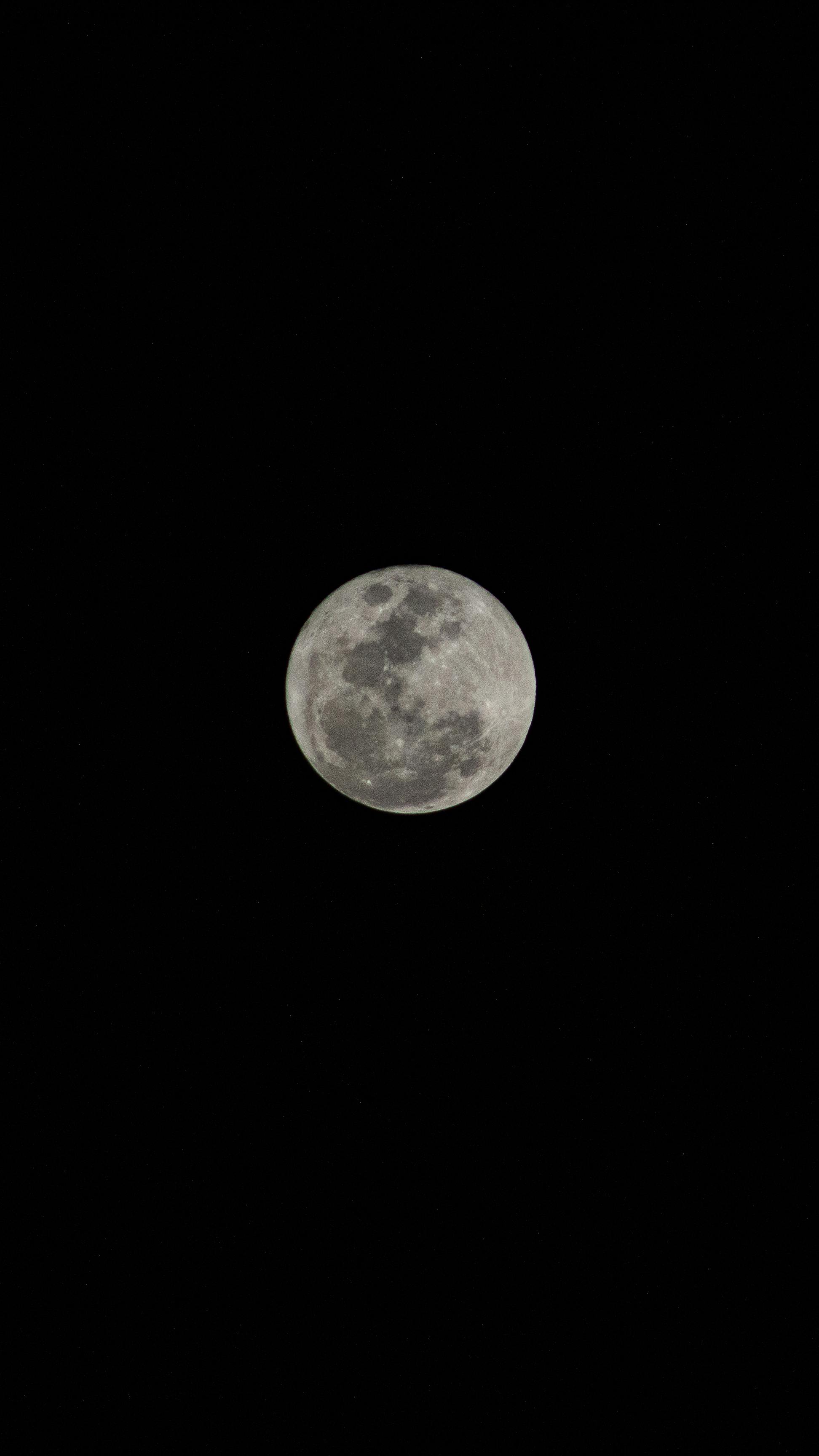 Full Moon In Black Sky Free Stock Photo