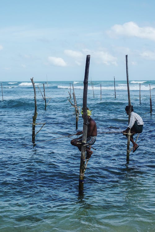 Fishermen Sitting on Bamboo Poles in Water Fishing
