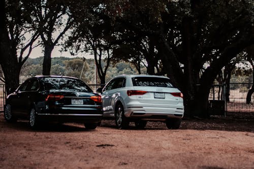 Modern cars parked under trees in park