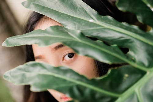 Woman's Face Covered With Green Leaves