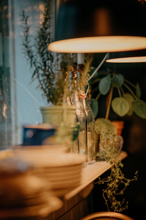 Lamps over Table with Plants