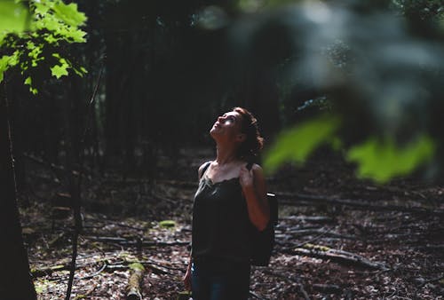 Woman in the Forest Looking Up