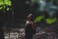 Artwork for From Burnout to Breathwork: Chris Marhefka on Reclaiming Wholeness