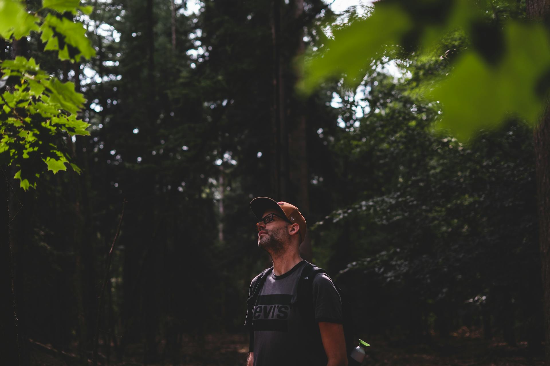 Man enjoying a peaceful hike through a lush, green forest.