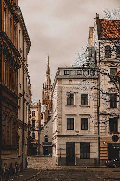 Old concrete buildings with high tower of cathedral