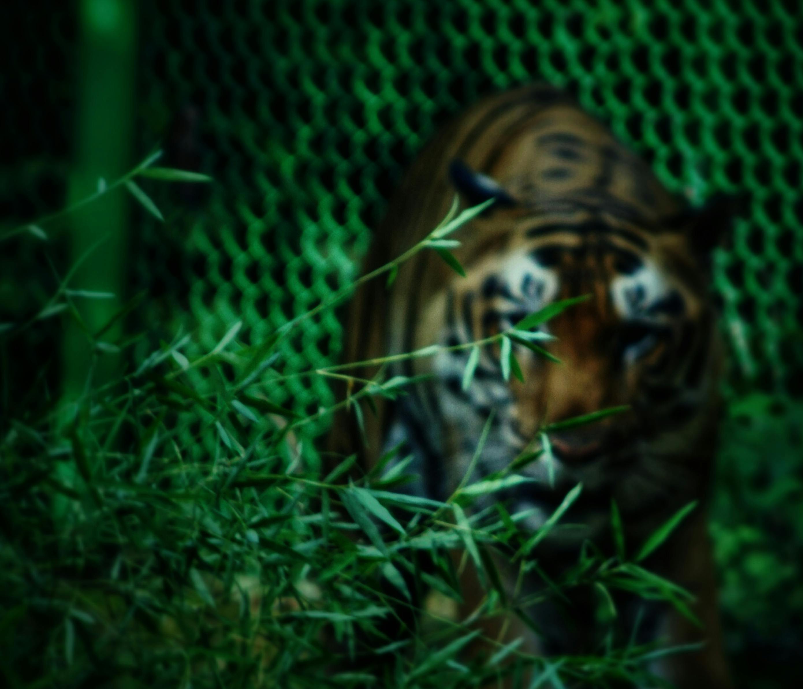 Sustainable e-commerce and green packaging in 2025