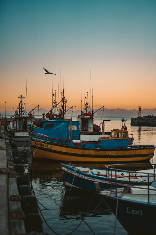 Free Fishing Boats on a Dock Stock Photo