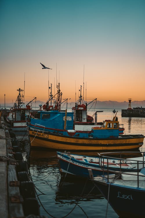 Kostnadsfri bild av båtar, brygga, fiskebåtar