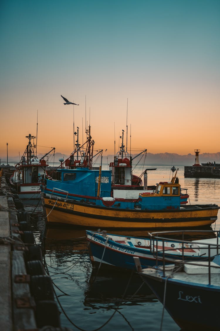 Fishing Boats On A Dock