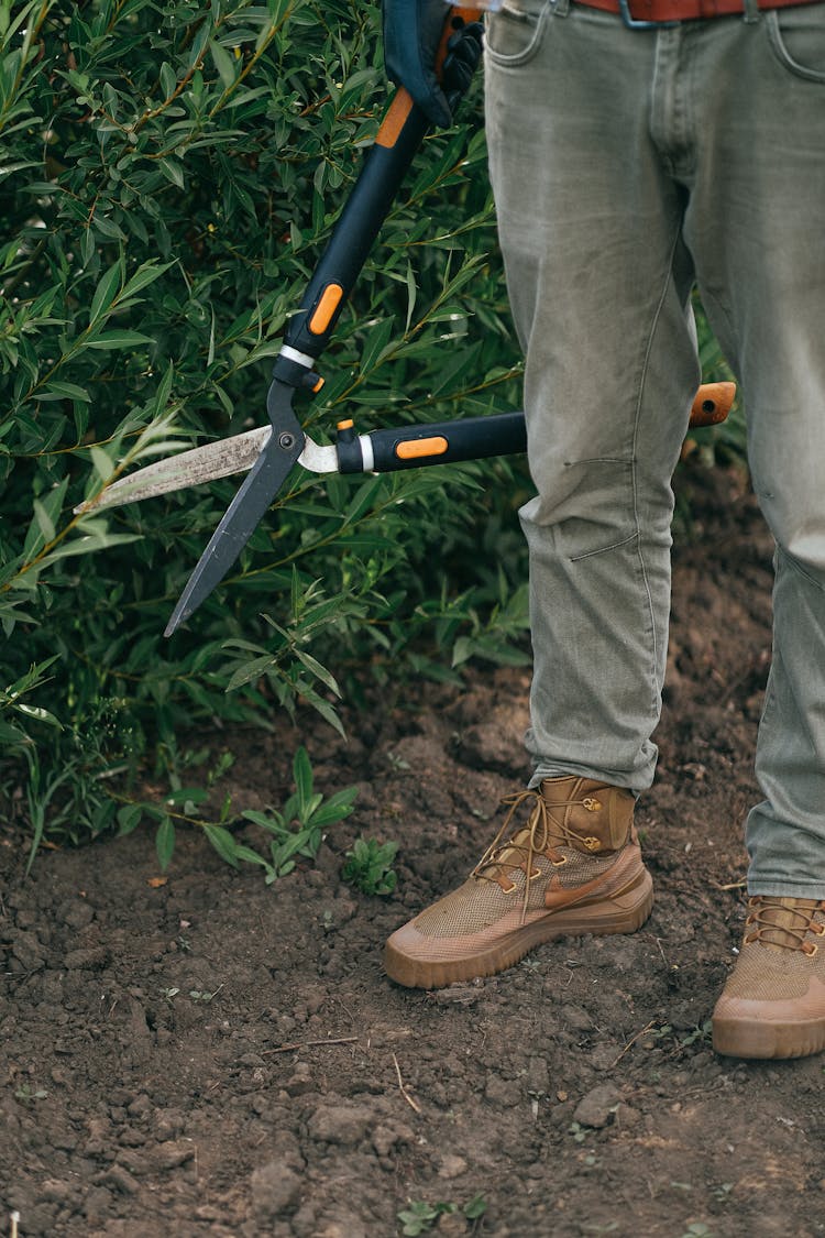 Close-Up Shot Of A Person Holding Shears