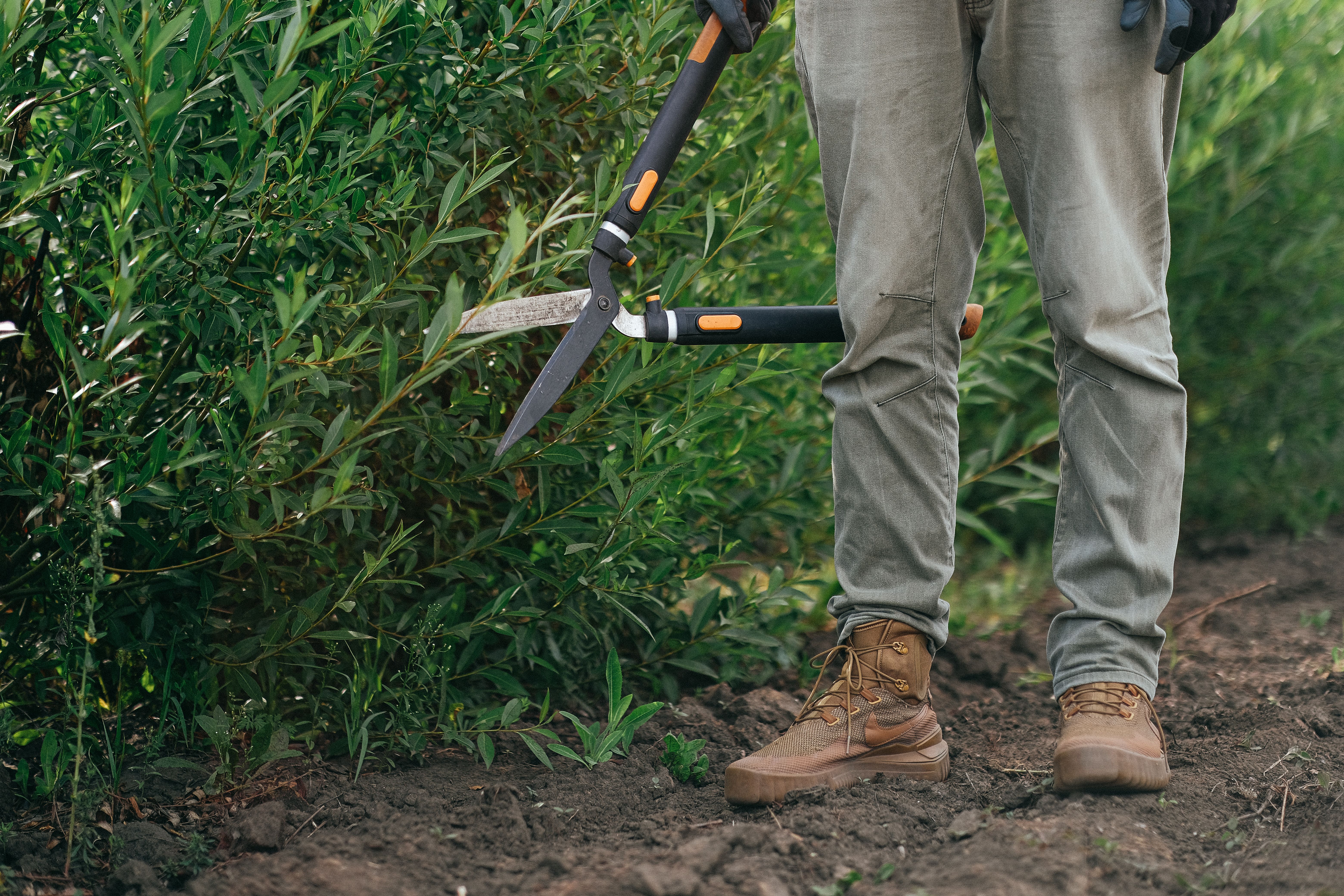 landscaper pruning - cost of spring yard clean up