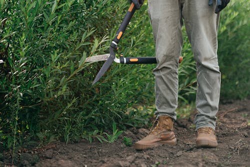 Close-Up Shot of a Person Holding Shears