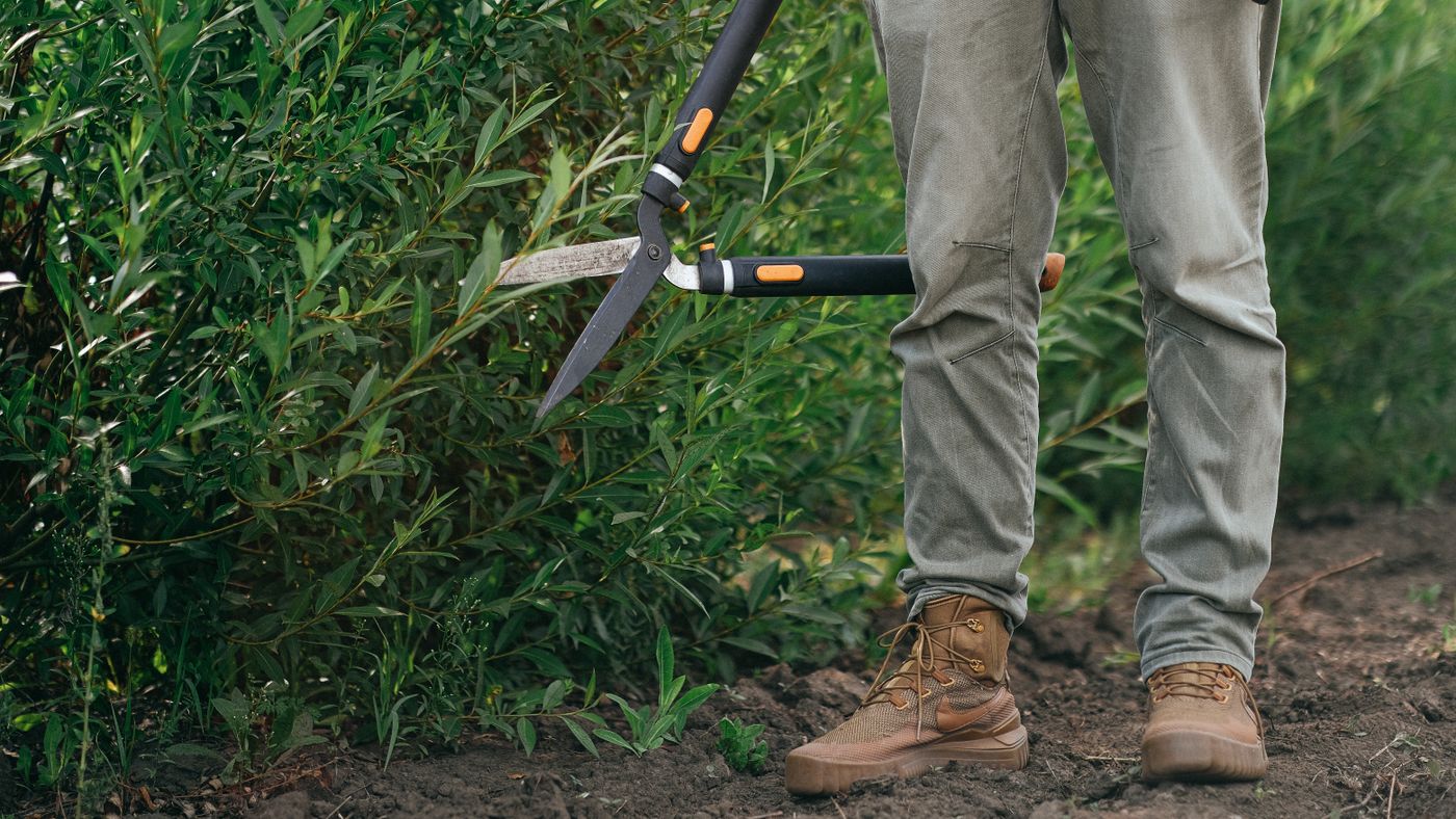How to Pick Garden Tools That Fit Your Garden and Your Hands