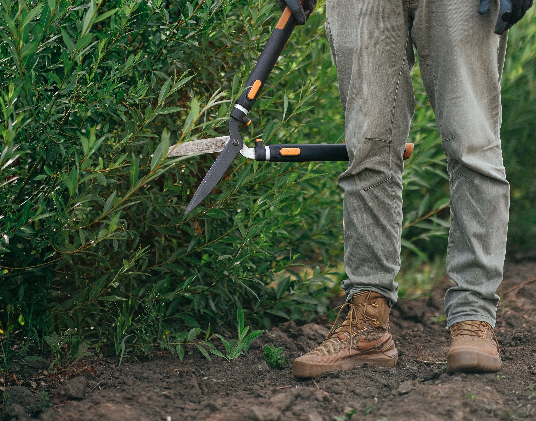 Gardener landscaping a yard