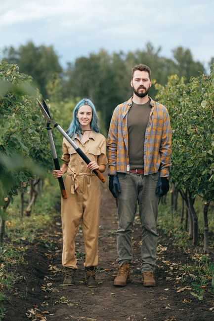 Youthful farmers posing with pruning shears in a lush vineyard during a bright day.