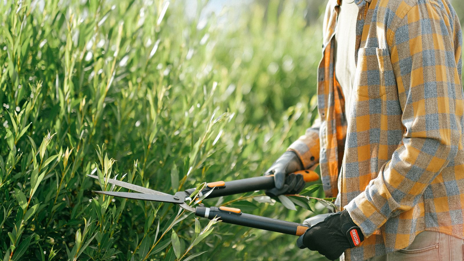 Gardener in Plettenberg Bay