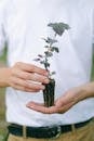 Close-Up Shot of a Person Holding a Plant