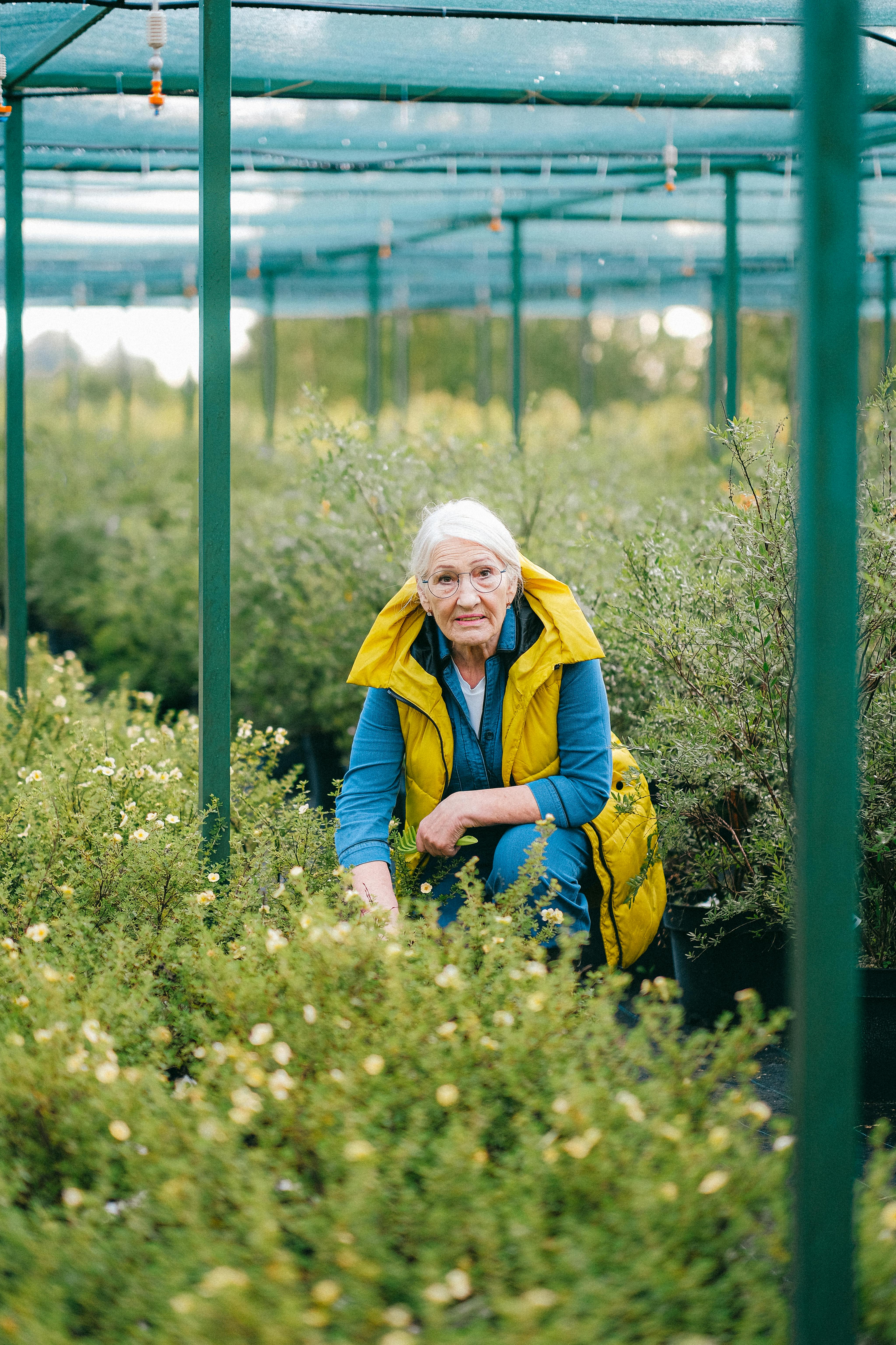 Elderly woman tending plants in a greenhouse
