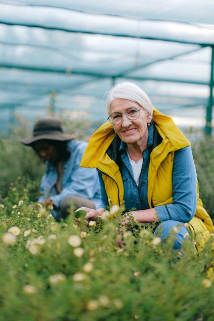 Elderly woman happily gardening in a greenhouse, surrounded by flowers.