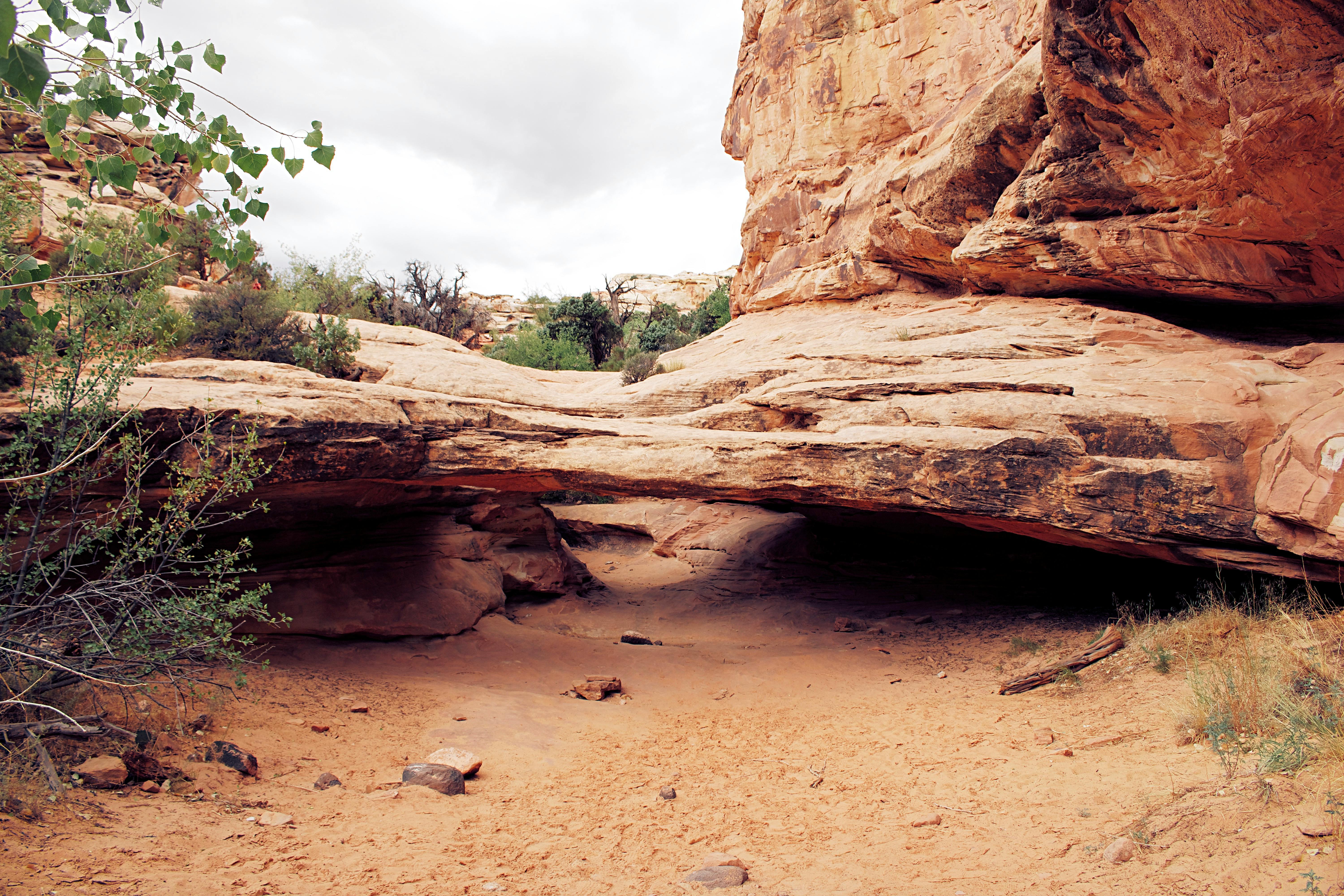 close up shot of rock formation