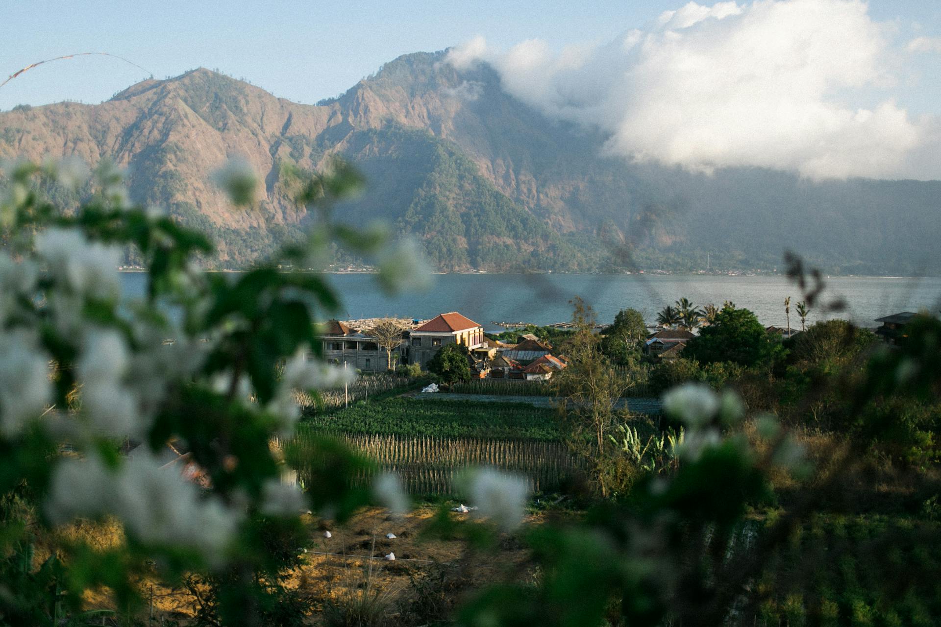 View of dense clouds over tall steep rock next to big lake and houses with vegetable gardens in settlement from blurred leaves and flowers