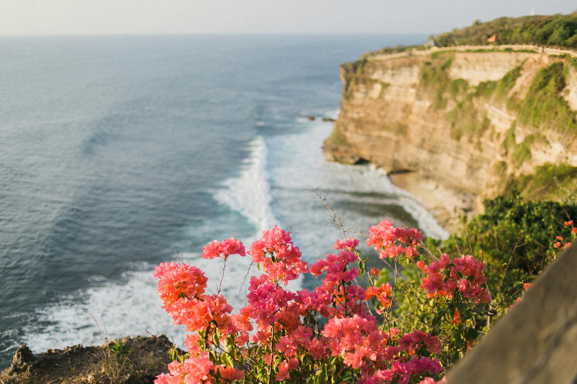 Lush greenery and vibrant delicate pink flowers on top of steep rock above wavy endless ocean under clear sky