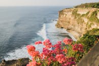 Lush greenery and vibrant delicate pink flowers on top of steep rock above wavy endless ocean under clear sky