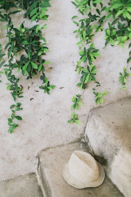 From above of small white hat on old stone shabby staircase under vibrant green plant on weathered wall