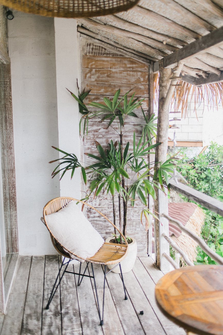 a plant and chair with cushion in a balcony
