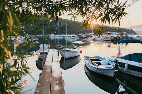 Tranquil bay water with white moored boats in sunset light surrounded with greenery