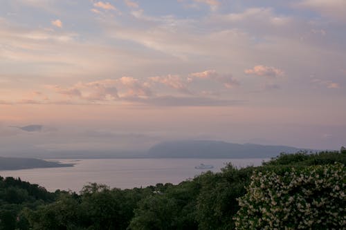 Green seashore with misty mountains in dusk