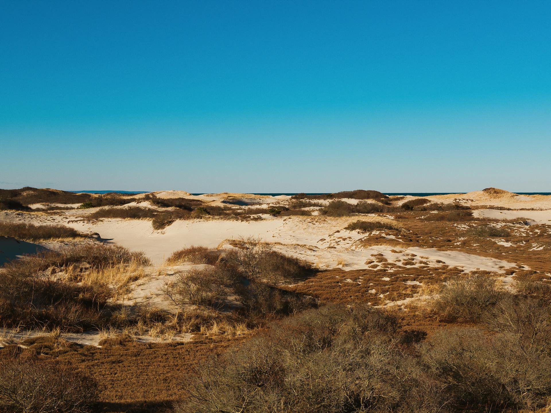 Serene landscape of Cape Cod's sand dunes and clear blue sky, showcasing natural beauty.