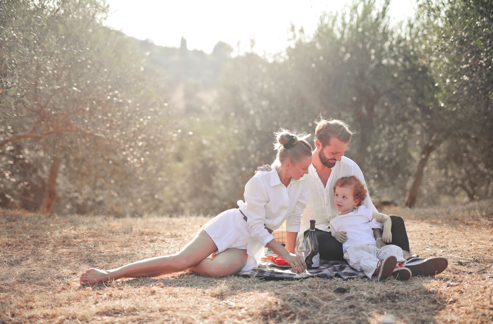 Happy family enjoying a picnic in an olive grove under the sun. Perfect for lifestyle and outdoor themes.