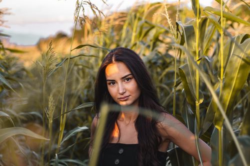 Free A woman with long hair posing in a lush cornfield during sunset, showcasing natural beauty. Stock Photo